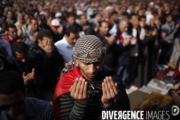 Demonstration in tahrir square.