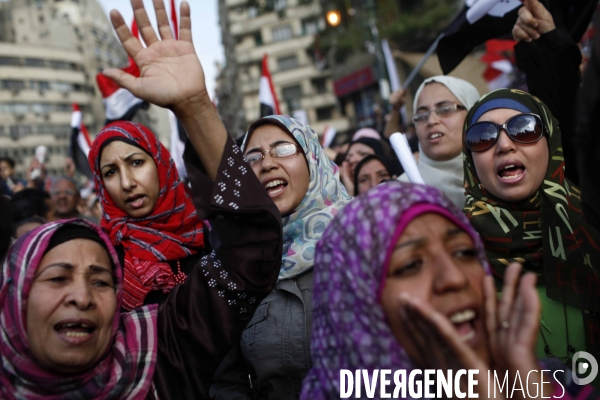 Demonstration in tahrir square.