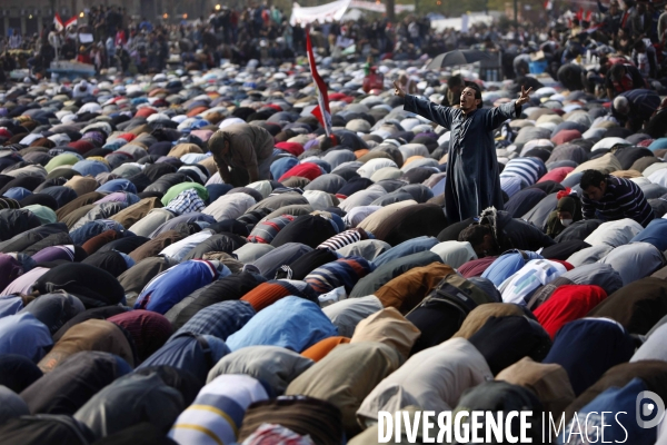 Demonstration in tahrir square.