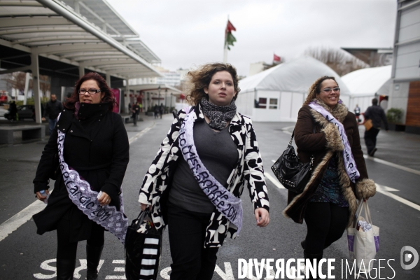 Elections de miss rondes france 2012.