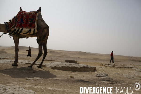 Pyramides de gizeh, egypte.