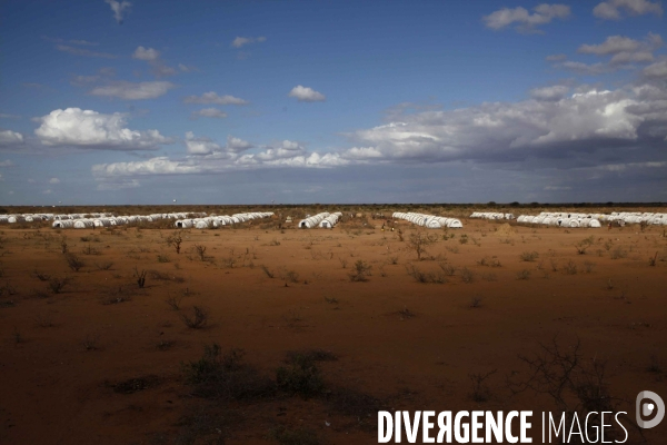 Le camp de dadaab au kenya, pres de la frontiere somalienne accueille plus de 400 000 refugies victimes de la guerre, de la secheresse et de la famine.