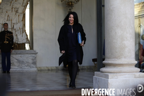 Conseil des ministres a l elysee.