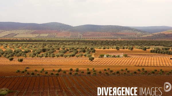 Les routes de Don Qujote de la Mancha.
