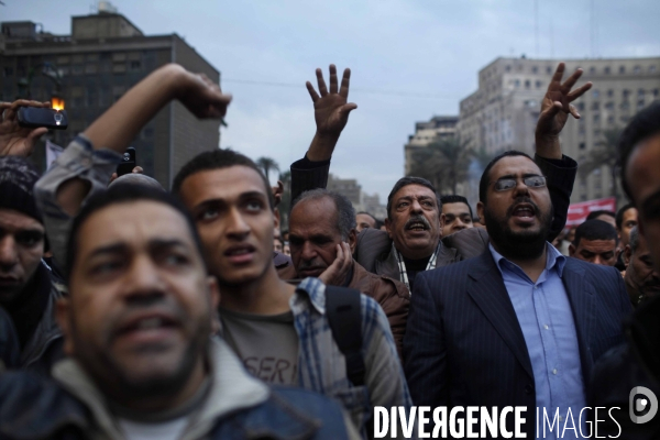 Demonstration in tahrir square.