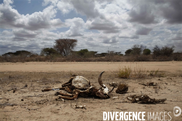 Drame humanitaire cause par la secheresse et la famine: exode des somaliens au kenya.