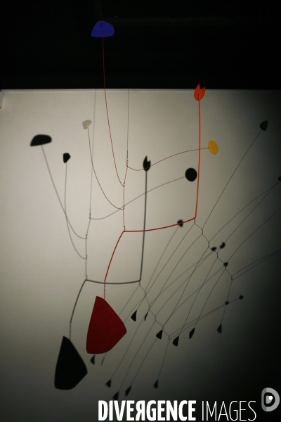 Oeuvres des expositions constellations a metz.