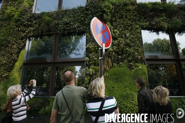 Mur vegetal au quai branly