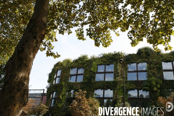 Mur vegetal au quai branly