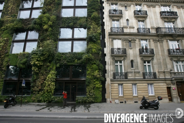 Mur vegetal au quai branly