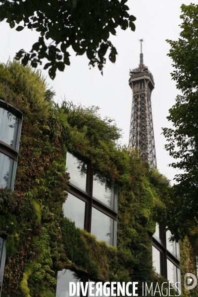 Mur vegetal au quai branly