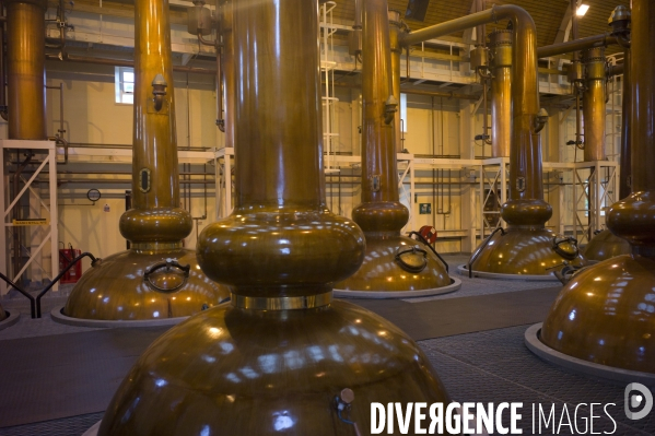 La distillerie de glenmorangie, whisky ecossais.
