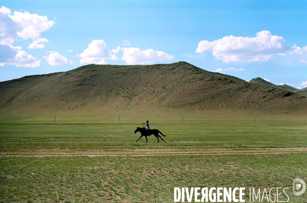 Le cheval, element moteur de la mongolie.