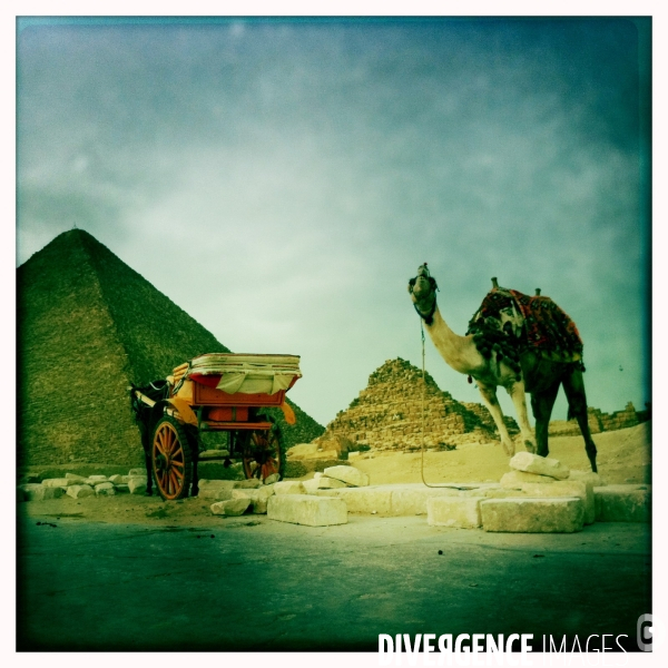 Hipstamatic in cairo, egypt.