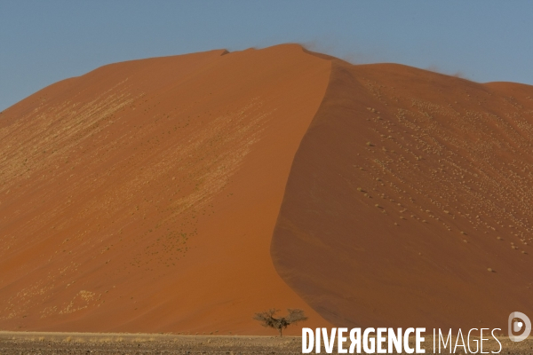 Sossusvlei:les plus grandes dunes du monde