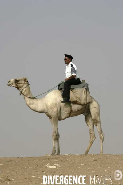 Plateau de Giza