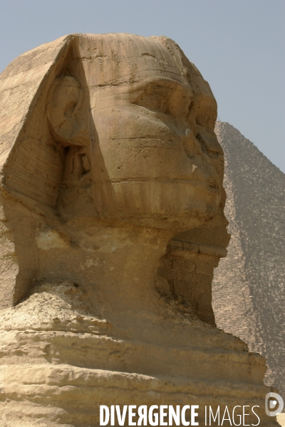 Plateau de Giza