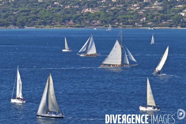 Les voiles de st tropez