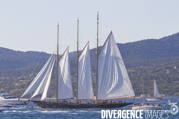 Les voiles de st tropez