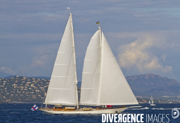 Les voiles de st tropez