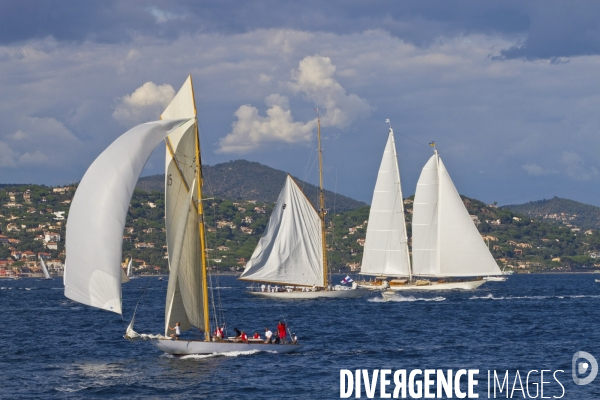 Les voiles de st tropez