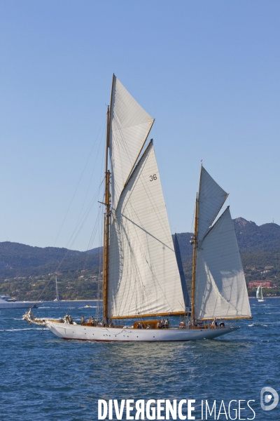 Les voiles de st tropez