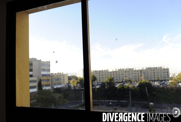 3 Impacts de balles sur la vitre d un appartement à Marseille.