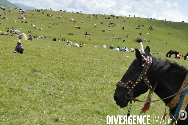 Course hippique sur le haut plateau tibétain - Horse race on tibetan plateau