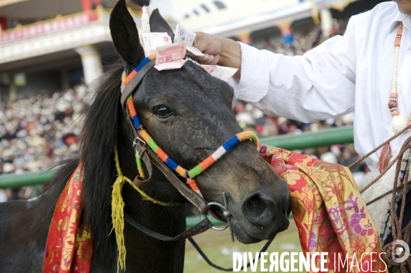 Course hippique sur le haut plateau tibétain - Horse race on tibetan plateau