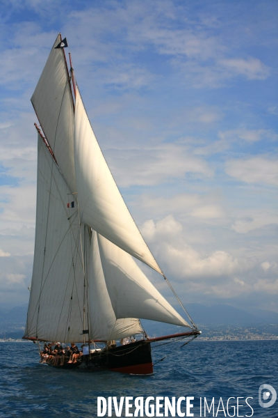 Voiles d Antibes