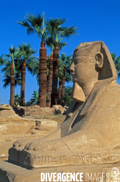 Egypte, le Nil d Assouan a Louxor