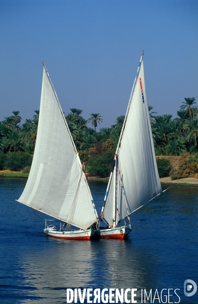 Egypte, le Nil d Assouan a Louxor