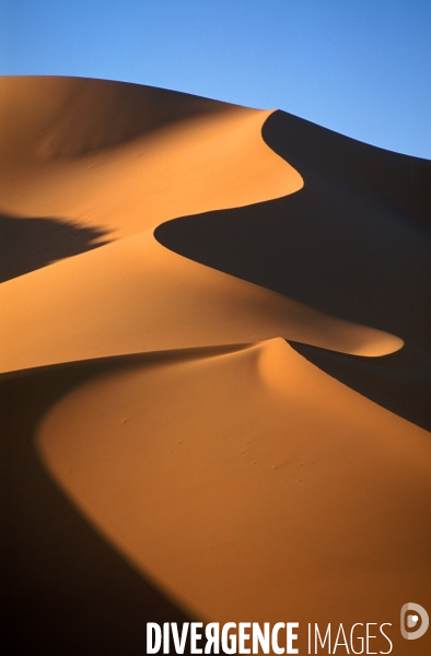 Sahara Algerien, Trek avec les Touaregs du Tassili n Ajjers