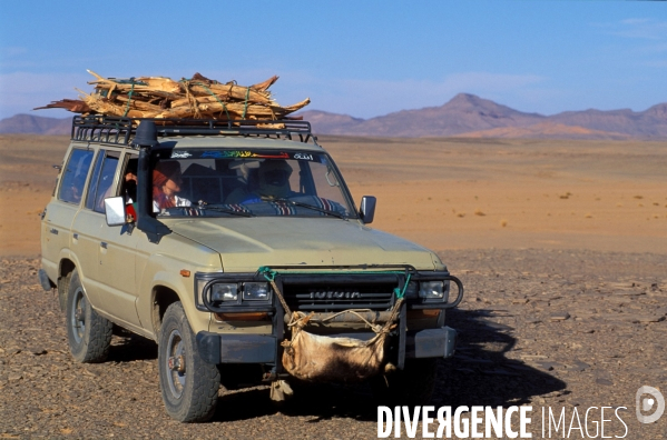 Sahara Algerien, Trek avec les Touaregs du Tassili n Ajjers