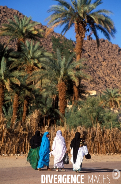 Sahara Algerien, Trek avec les Touaregs du Tassili n Ajjers