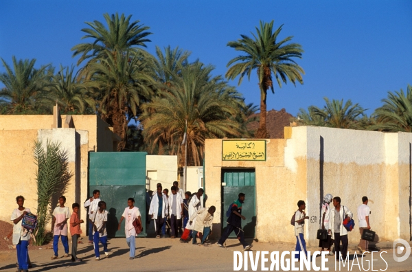 Sahara Algerien, Trek avec les Touaregs du Tassili n Ajjers