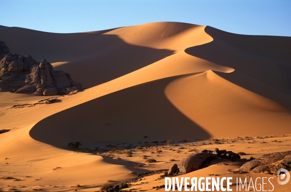 Sahara Algerien, Trek avec les Touaregs du Tassili n Ajjers