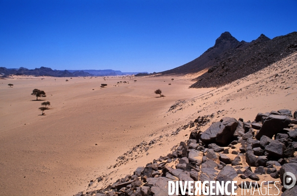 Sahara Algerien, Trek avec les Touaregs du Tassili n Ajjers