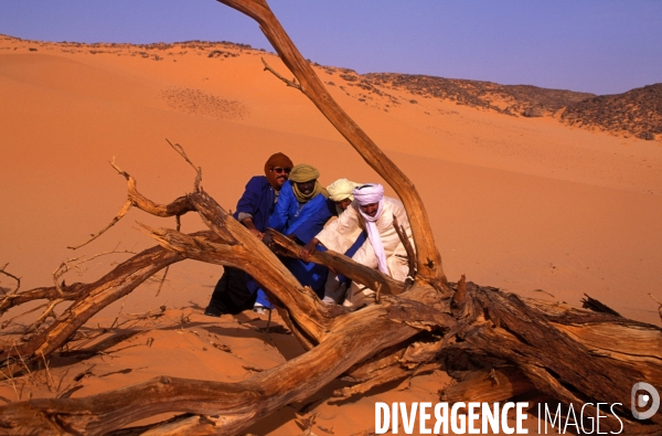 Sahara Algerien, Trek avec les Touaregs du Tassili n Ajjers