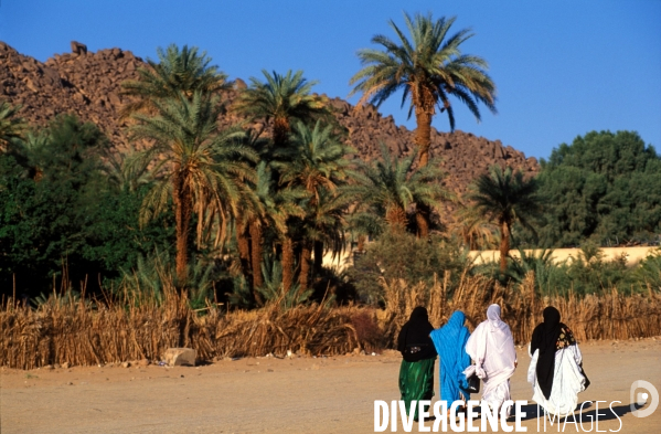 Sahara Algerien, Trek avec les Touaregs du Tassili n Ajjers
