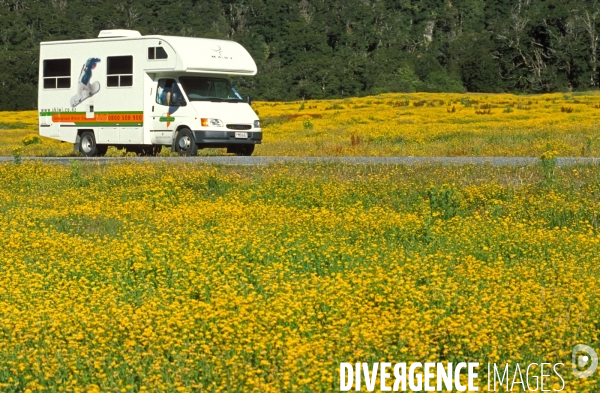 Nouvelle Zelande : sur les routes du bout du monde