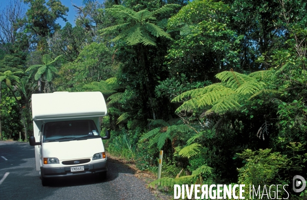 Nouvelle Zelande : sur les routes du bout du monde