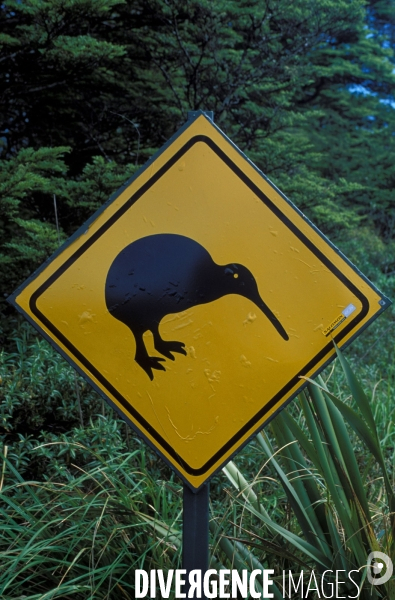 Nouvelle Zelande : sur les routes du bout du monde