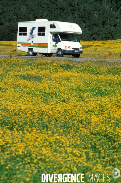 Nouvelle Zelande : sur les routes du bout du monde