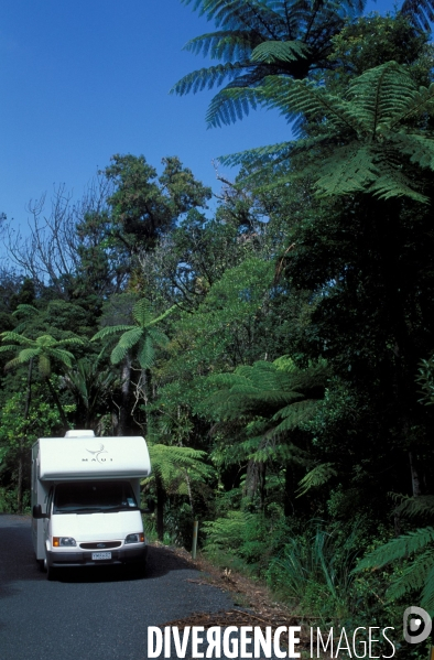 Nouvelle Zelande : sur les routes du bout du monde