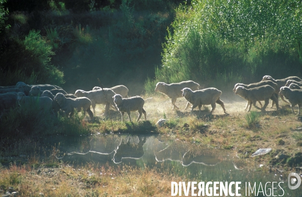 Nouvelle Zelande : sur les routes du bout du monde