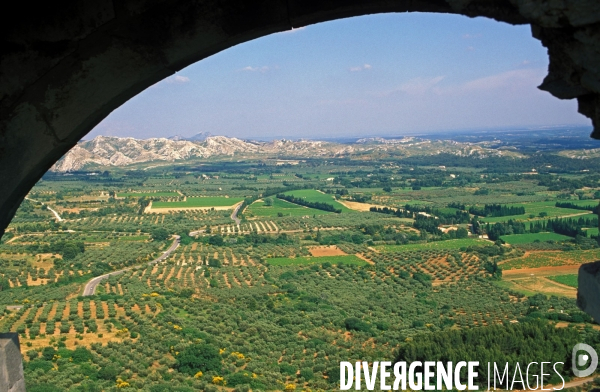 Huile d olive de la vallée des Baux.