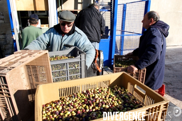 Huile d olive de la vallée des Baux