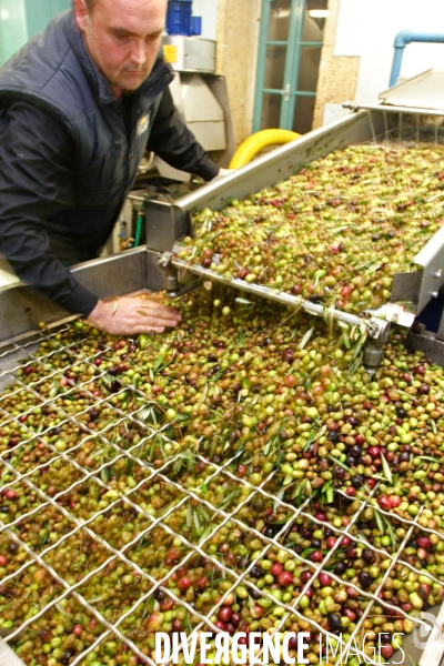 Huile d olive de la vallée des Baux