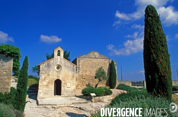 Huile d olive de la vallée des Baux